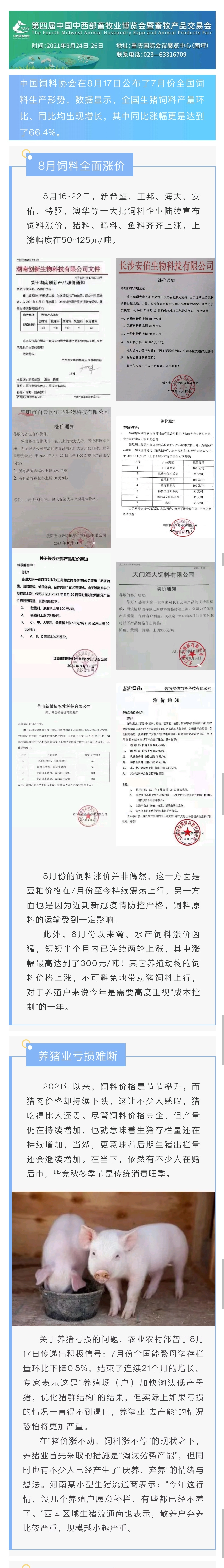 87be127d9684d2c0135711823ac2447