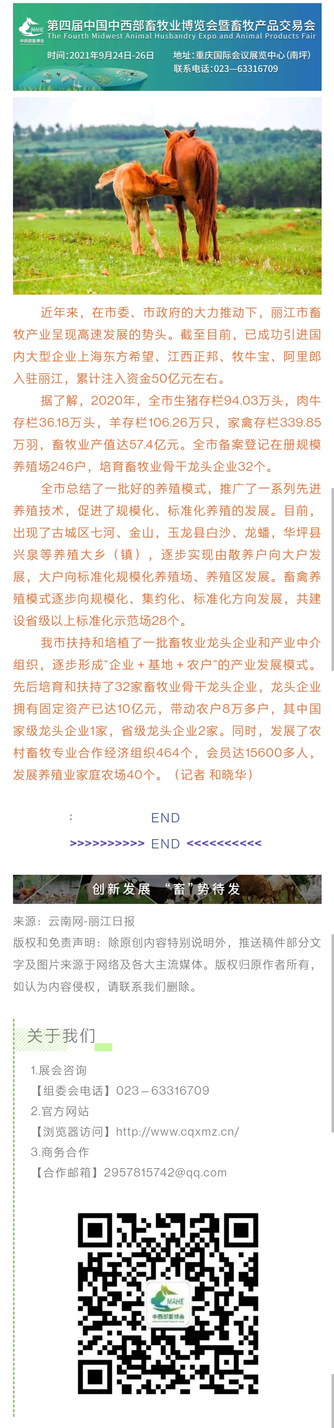 3eaf6325e40b4e8c474922551877fcb